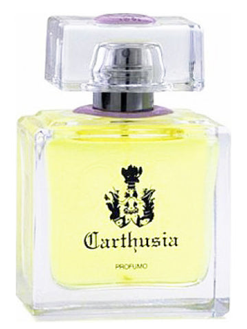 Gelsomini di Capri