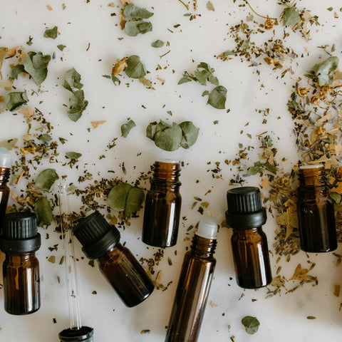 Fragrance Crafting with Artemisia